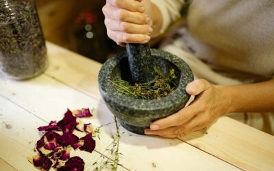 Atelier Herbarium