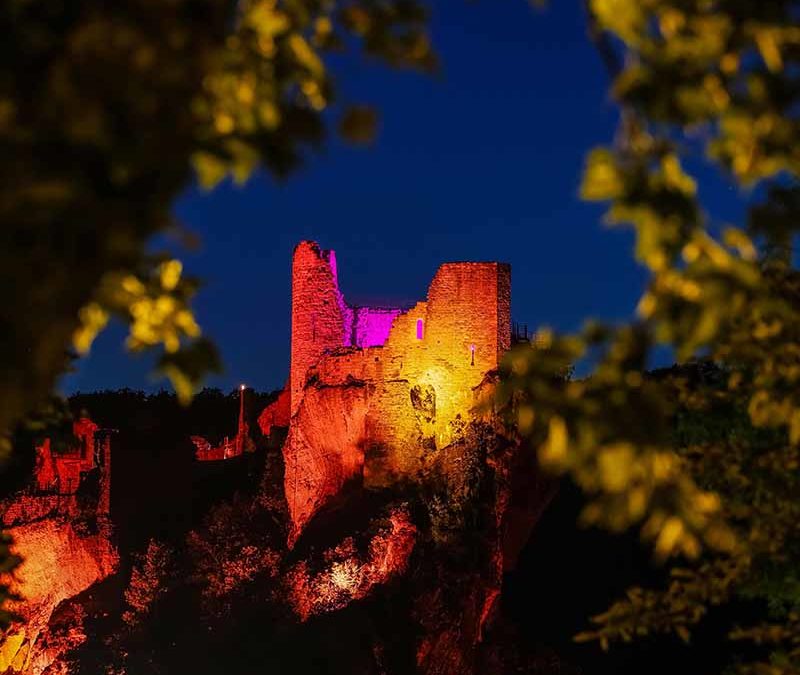 Les nocturnes de l’été